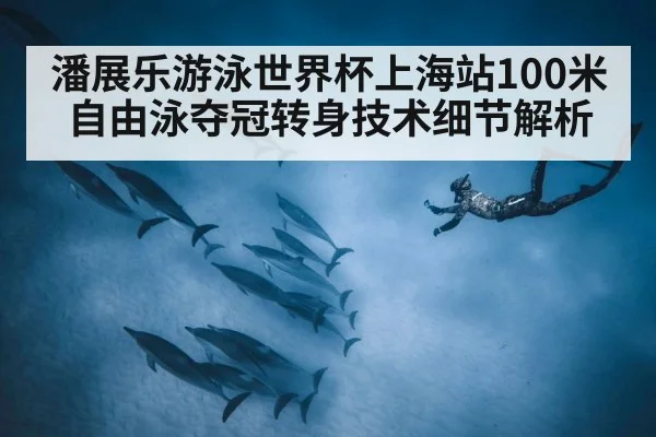 潘展乐游泳世界杯上海站100米自由泳夺冠转身技术细节解析